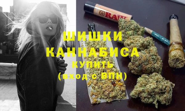 дживик Каменногорск