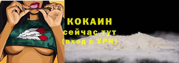 МДМА Каменка