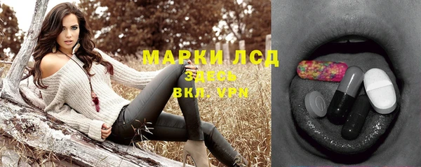 дживик Каменногорск