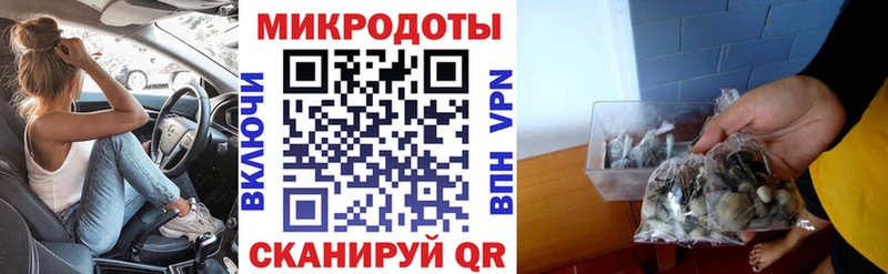 Галлюциногенные грибы Psilocybine cubensis  Новосибирск 